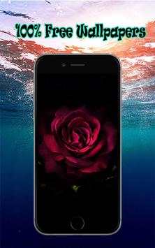 Wallpaper For iPhone 6 screenshot 2