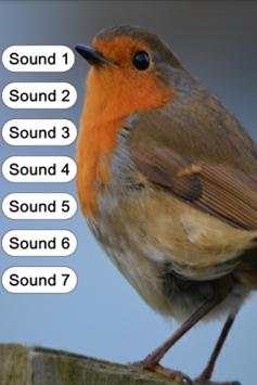 Bird Sounds for Kids screenshot 2