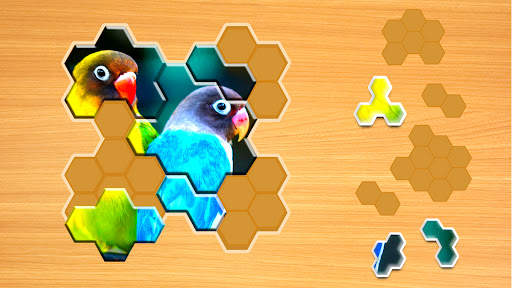 Jigsaw Puzzles Hexa screenshot 7