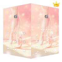 AppLock Live Theme Ballet – Paid Theme logo