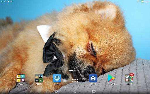 Spitz live wallpaper screenshot 6