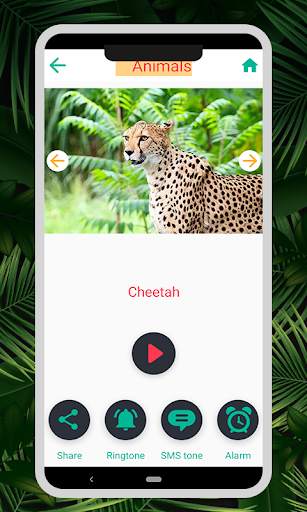 Animal & Bird Sounds : Ringtones स्क्रीनशॉट 4