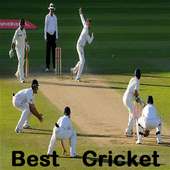 The best cricket