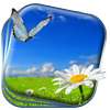 Spring Flowers Live Wallpaper