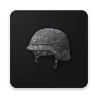 Companion App For PUBG