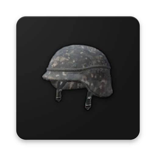 Companion App For PUBG 1.0.1