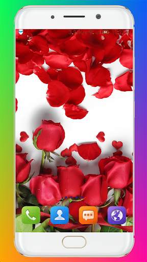 Red Rose Wallpaper screenshot 5