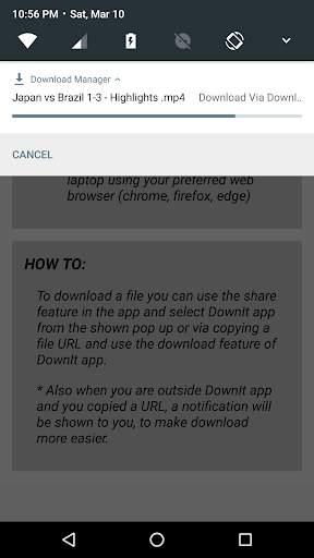 DownIt : File Download Helper screenshot 9