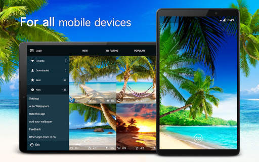 Tropical Wallpapers 4K screenshot 5