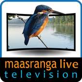 Maasranga TV logo