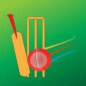 Live Cricket Score Updates 3.0