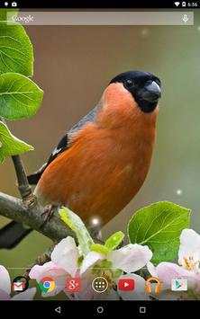 Spring Birds screenshot 11