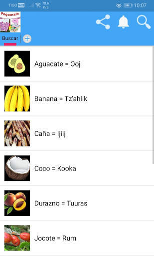 Idioma Poqomam screenshot 2