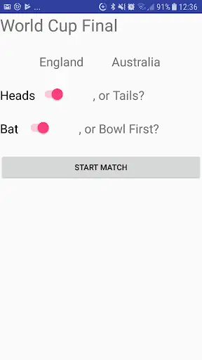 Cricket Simulator screenshot 1