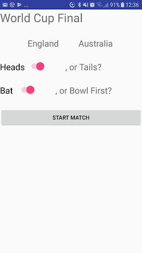 Cricket Simulator screenshot 1