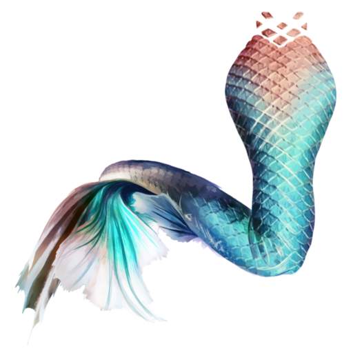 Mermaid's tail 3.0