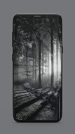 Grey Wallpaper screenshot 5
