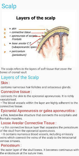 Human Anatomy E Theories screenshot 2