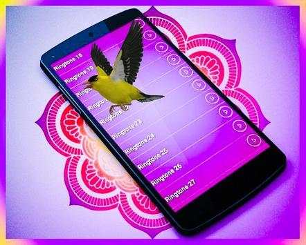 100 bird sounds and ringtones offline screenshot 2