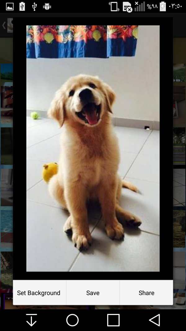 Cute and Funny Animals screenshot 4