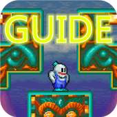 Guide For Snow Bros 1.8