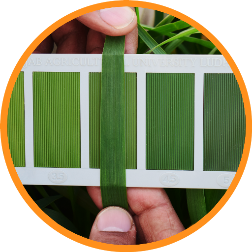 PAU Urea Guide icon