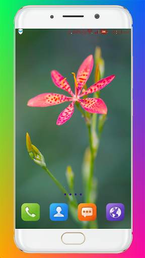 Flower Wallpaper HD screenshot 14