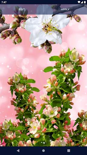Flower Blossom Live Wallpaper screenshot 4