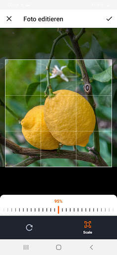 Gartenplaner fürs Gemüsebeet screenshot 6