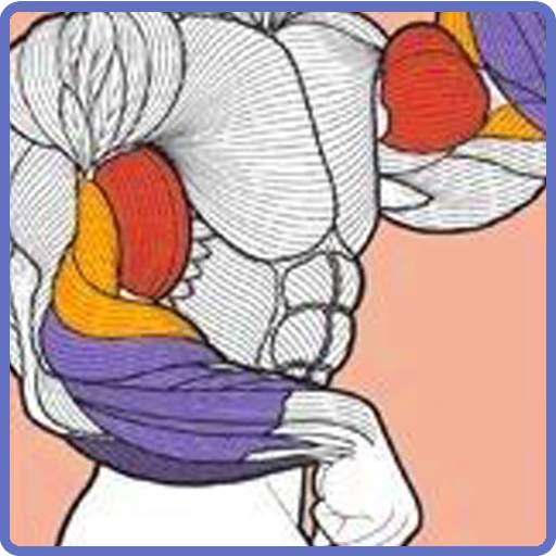 Gym Guider Offline 2.0.11