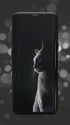 Black Wallpaper screenshot 3