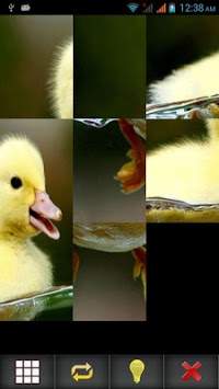 Birds Puzzle screenshot 14