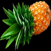 Tus Dietas icon
