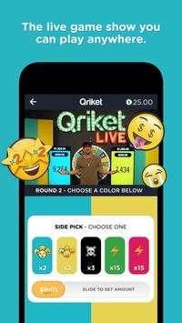 Qriket screenshot 1