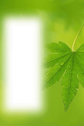 Nature Photo Frames HD screenshot 3