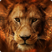 Lion Anime Wallpapers For You icon