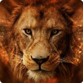 Lion Anime Wallpapers For You 1.0.1