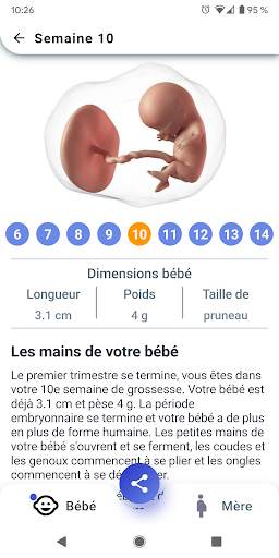 Grossesse Semaine par Semaine screenshot 2