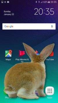 Lelucon Imut Kelinci di Ponsel screenshot 3