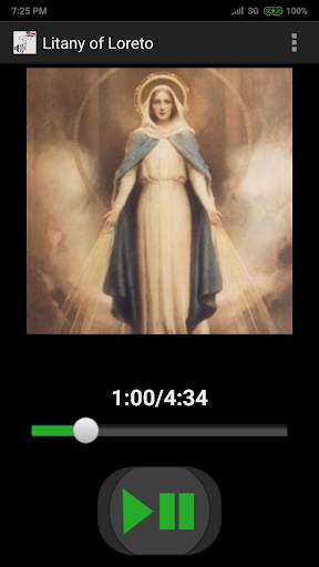 Rosary Audio English Offline screenshot 7