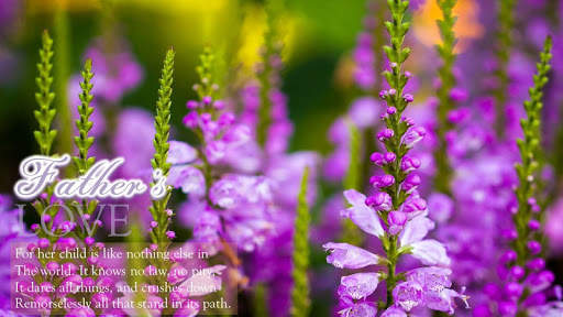 Father’s Day and Mother’s Day Wishes & Quotes screenshot 6