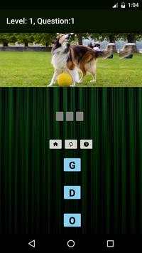Animals & Birds Quiz screenshot 6
