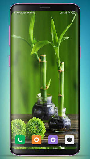Bamboo Wallpaper HD screenshot 10