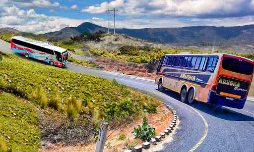 Bus Simulator : Tourist Bus Drive 3D 21 screenshot 2