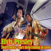 Elvis Presley Top 30 on 9Apps