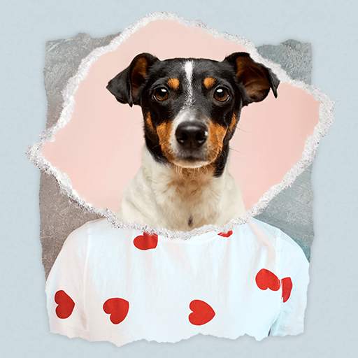 Color Pop Tear Photo Editor 1.1