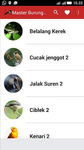 Master Suara Burung Kasar screenshot 2