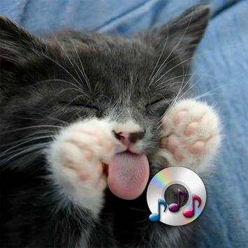 Sound Cats स्क्रीनशॉट 1