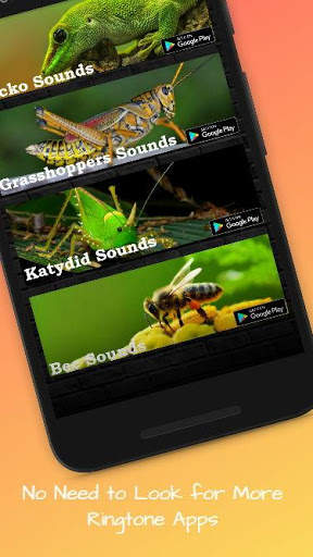 Cricket Sounds screenshot 2