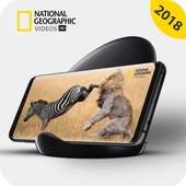 National Geographic Channel Documentaries:Nat Geo on 9Apps